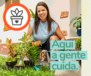 SESA - dezembro SESA - dezembro